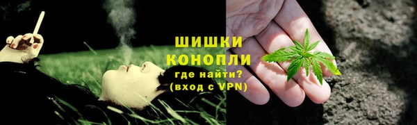 твердый Алзамай